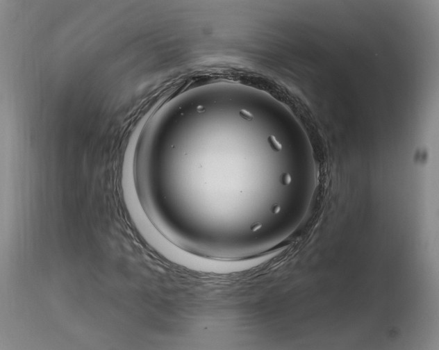 X0000112460965200908241255