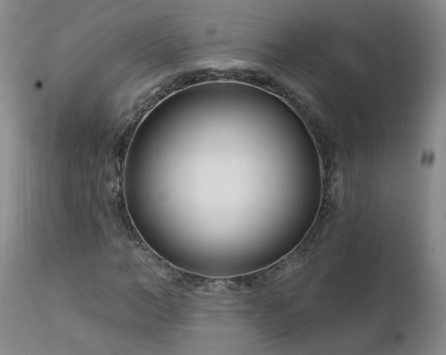 X0000112460966200908241255