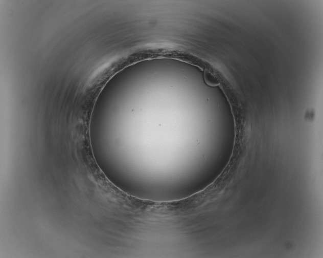 X0000112460967200908241255