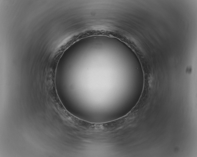 X0000112460968200908241255