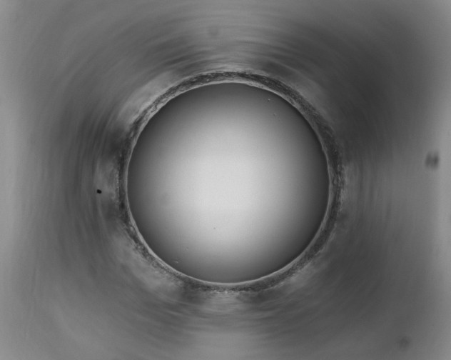 X0000112460969200908241255