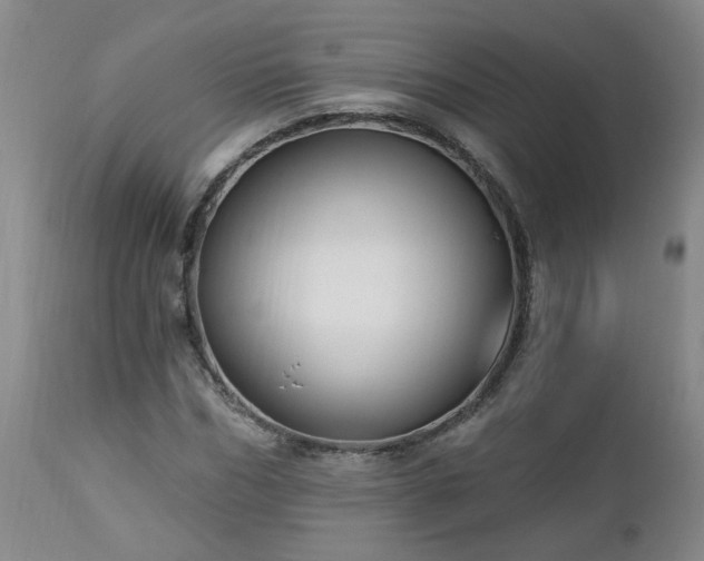 X0000112460970200908241255