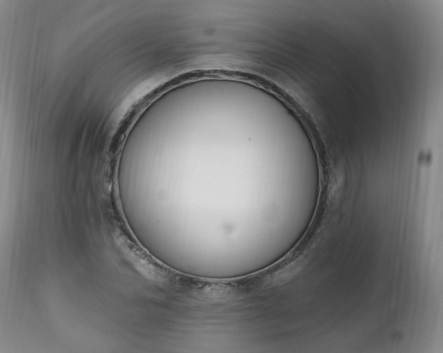 X0000112460974200908241255