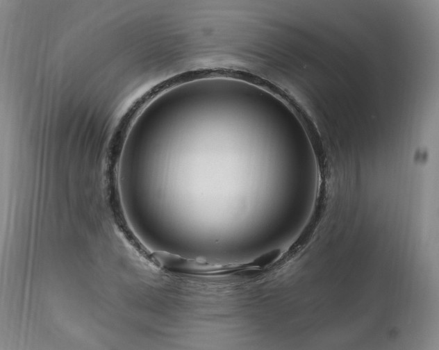 X0000112460975200908241255