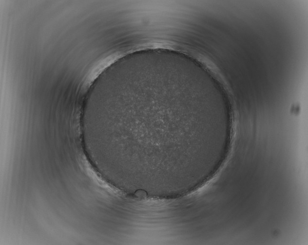 X0000112460977200908241255