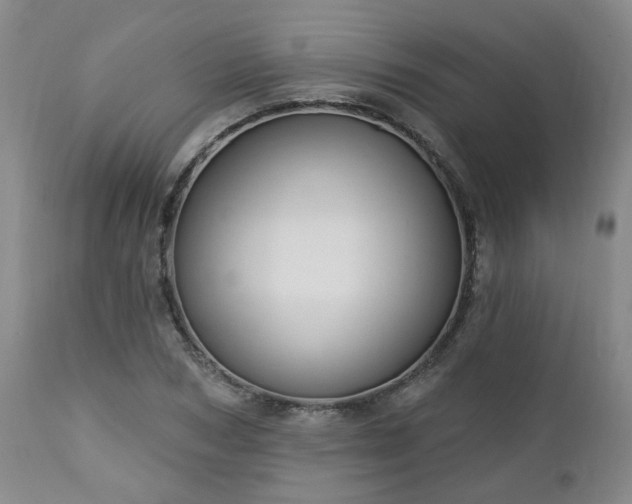 X0000112460978200908241255