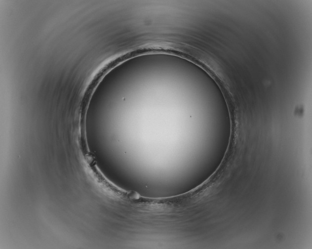 X0000112460984200908241255