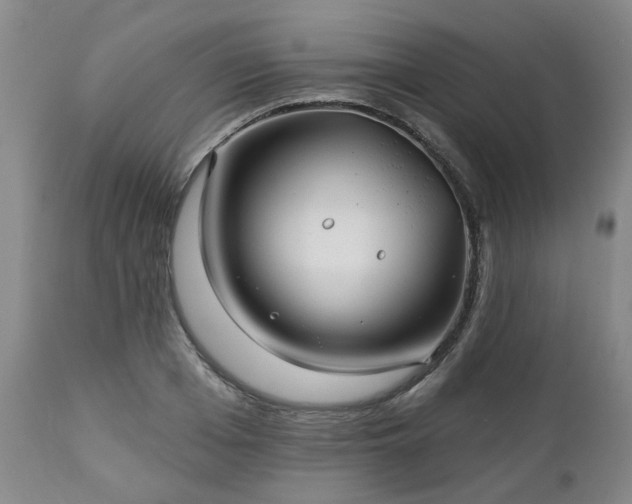 X0000112460985200908241254