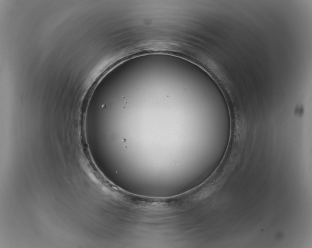 X0000112460986200908241254