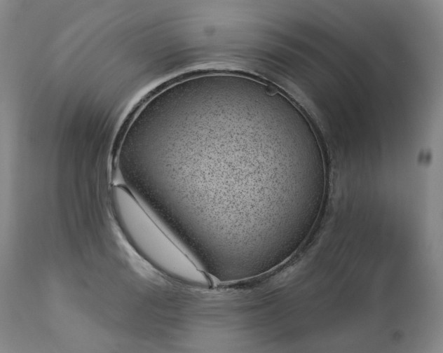 X0000112460988200908241254