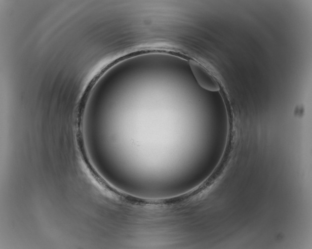 X0000112460989200908241254