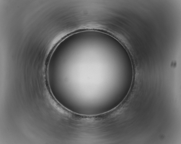 X0000112460990200908241254