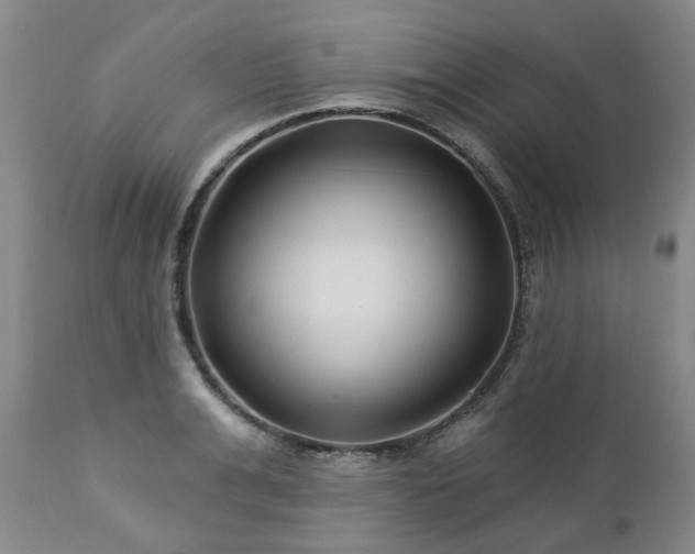 X0000112460991200908241254