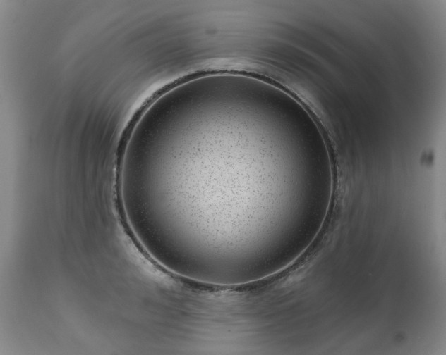 X0000112460992200908241254