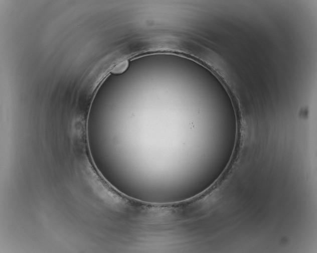 X0000112460993200908241254