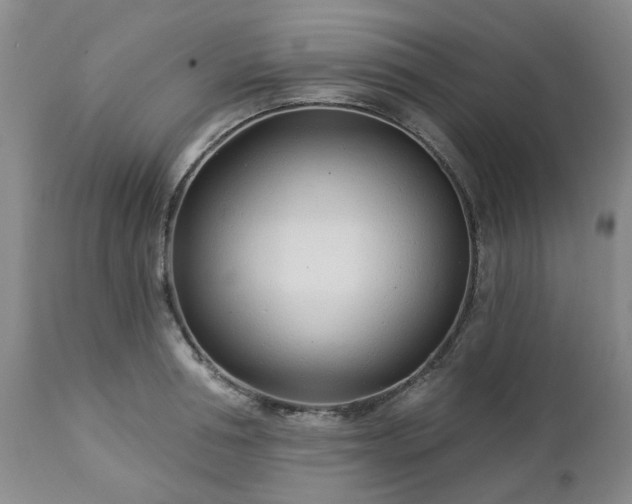 X0000112460994200908241254