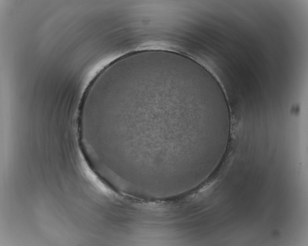 X0000112460995200908241254