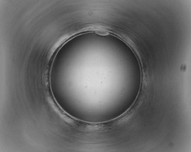 X0000112460997200908241254