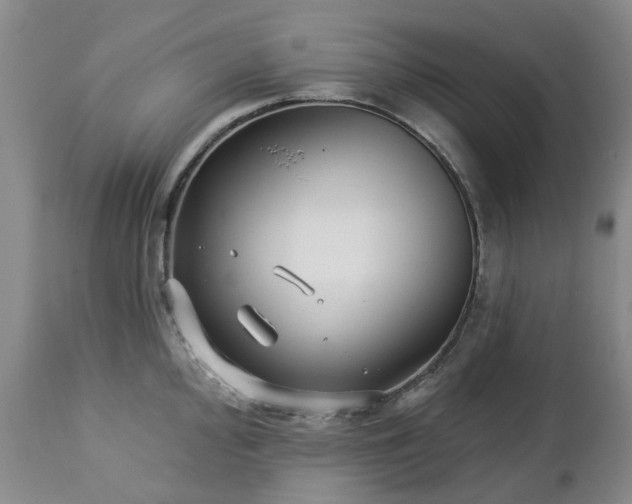 X0000112461000200908241254