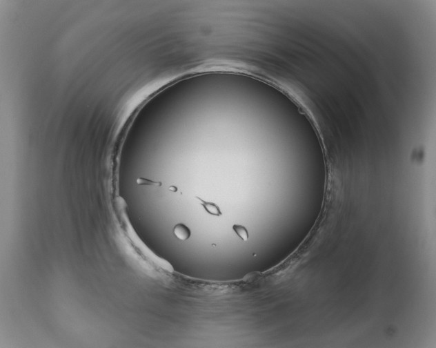 X0000112461003200908241254