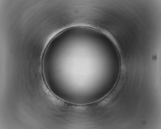 X0000112461004200908241254