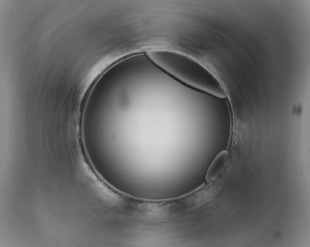 X0000112461005200908241254