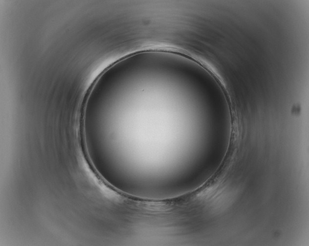 X0000112461007200908241254