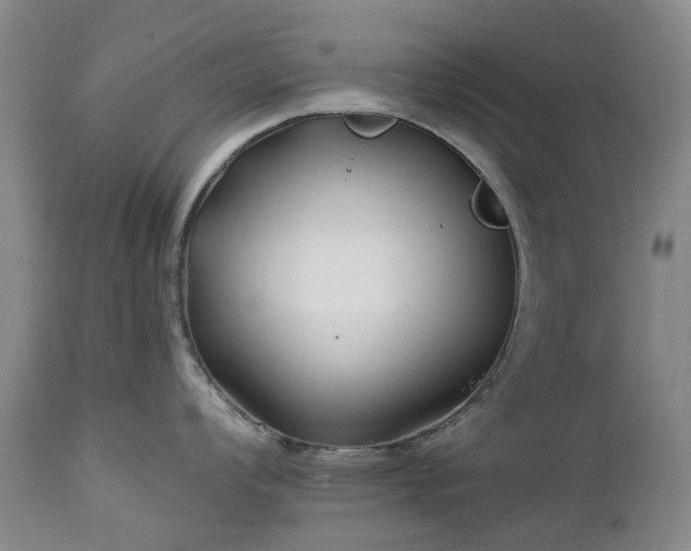 X0000112461008200908241254