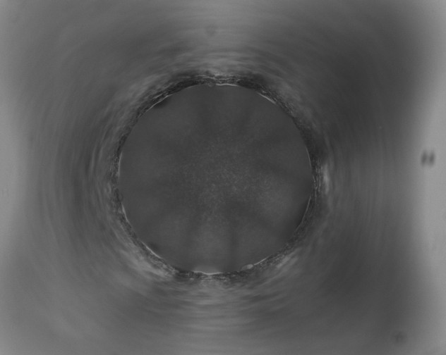 X0000112461009200908241253