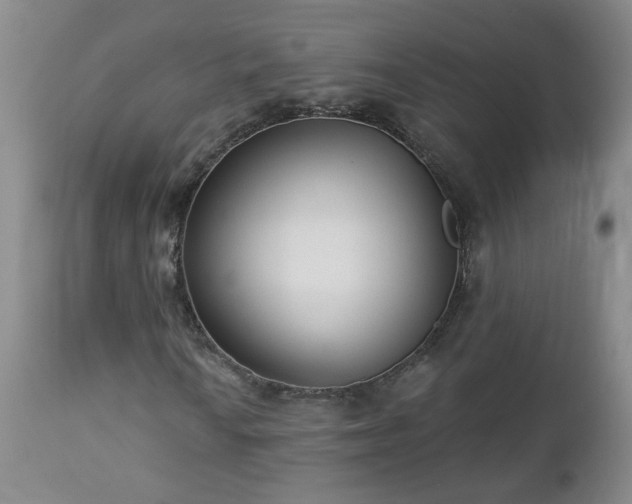 X0000112461010200908241253