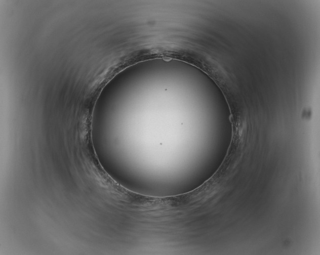 X0000112461012200908241253