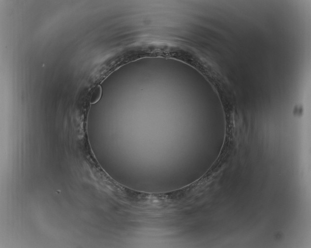 X0000112461013200908241253