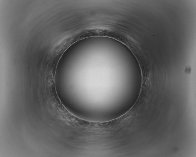 X0000112461014200908241253