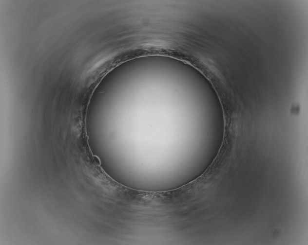 X0000112461015200908241253