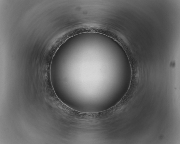 X0000112461016200908241253