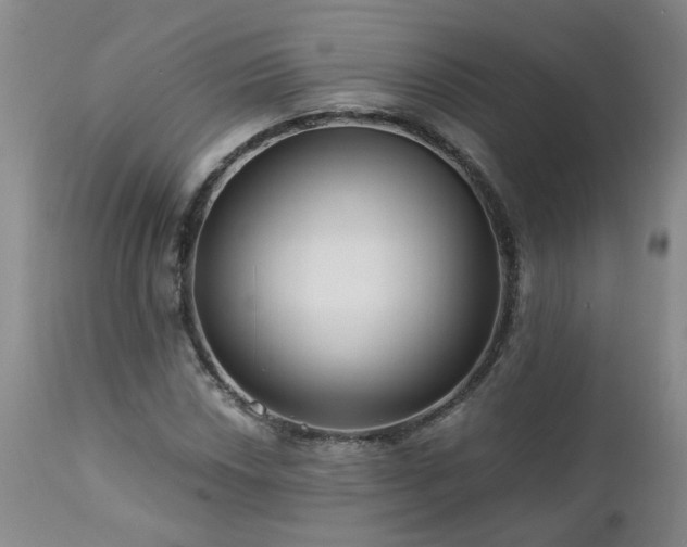 X0000112461018200908241253