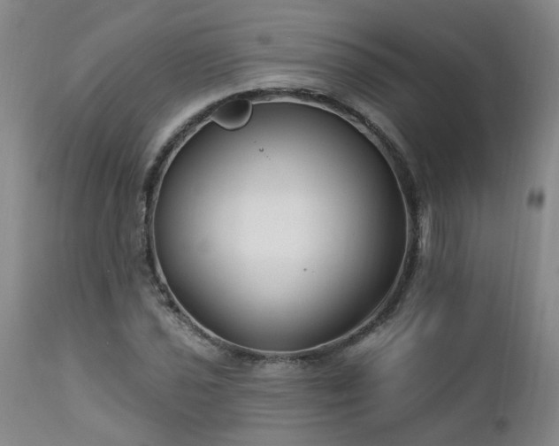 X0000112461021200908241254