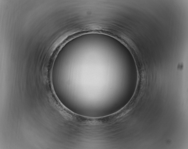 X0000112461023200908241254