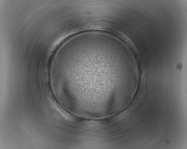 X0000112461027200908241254