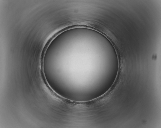 X0000112461028200908241254