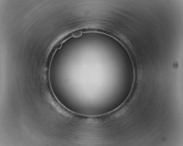 X0000112461029200908241254