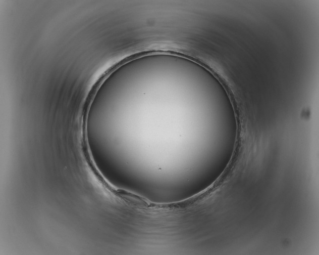 X0000112461032200908241254