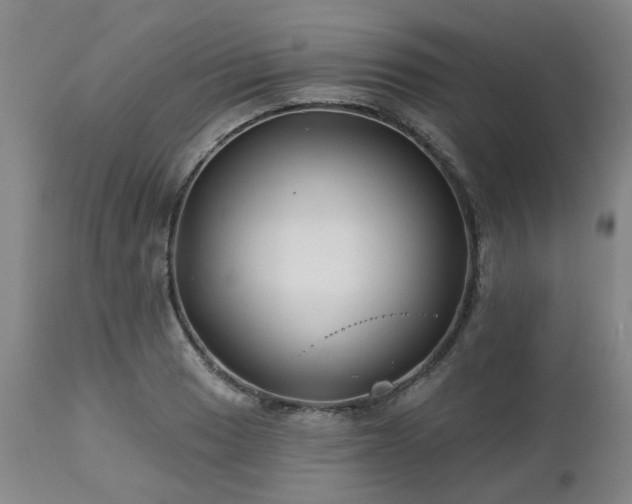 X0000112461033200908241254