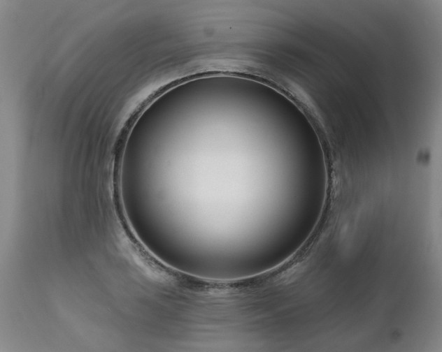 X0000112461035200908241254