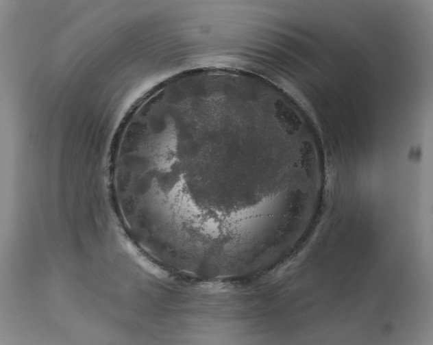 X0000112461037200908241254