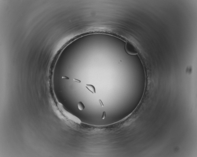 X0000112461038200908241254