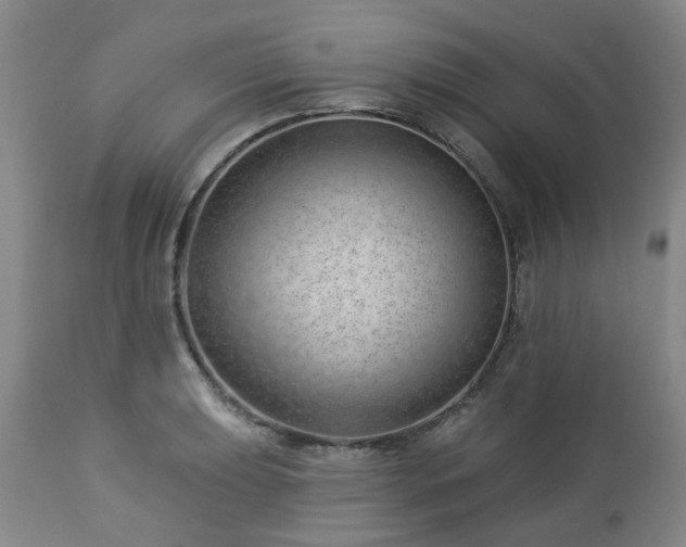 X0000112461039200908241254