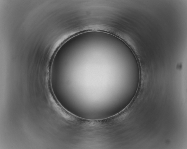 X0000112461040200908241254