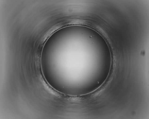 X0000112461041200908241254