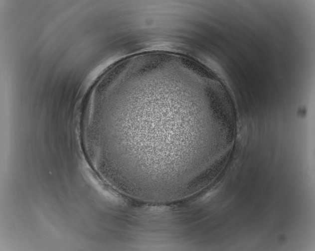 X0000112461043200908241254